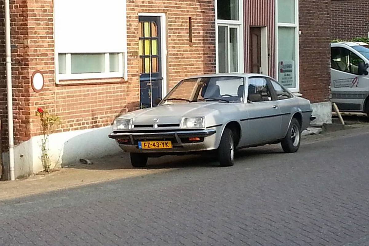 Manta B