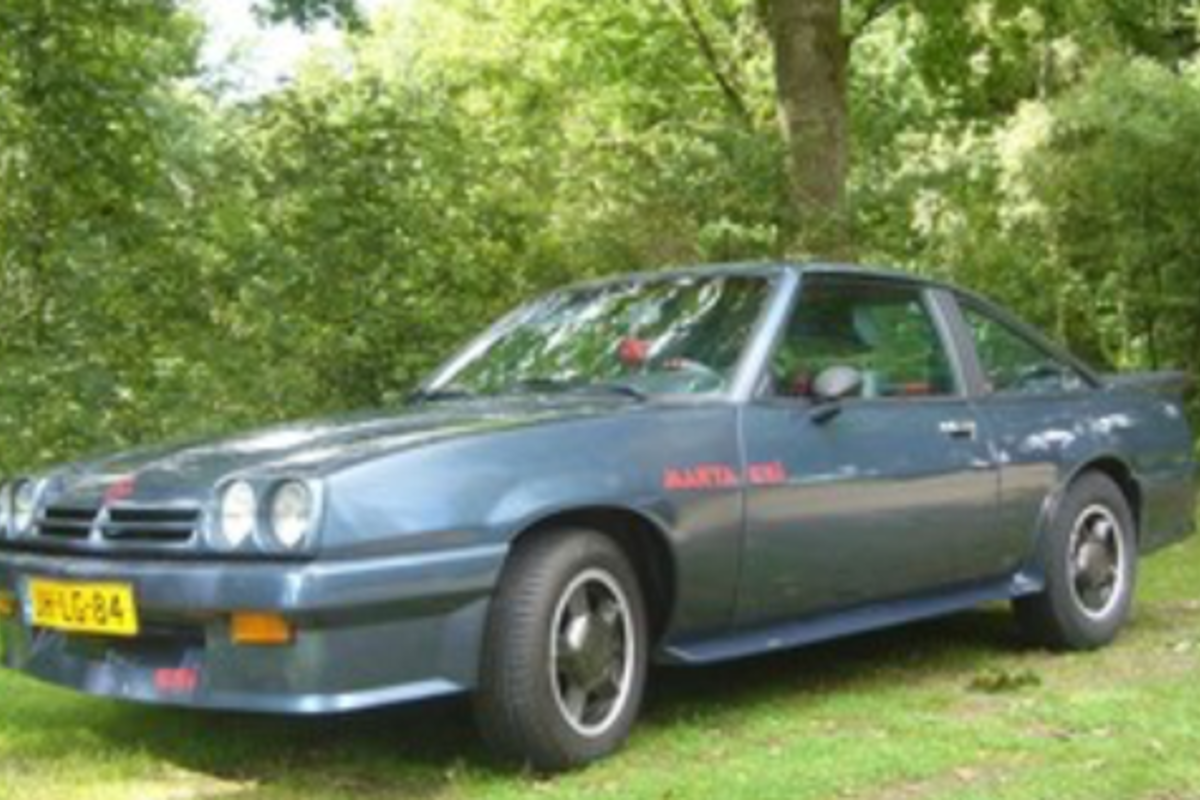 Manta B