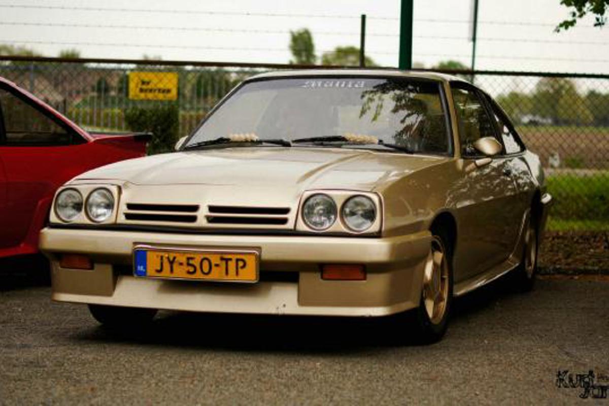 Manta B