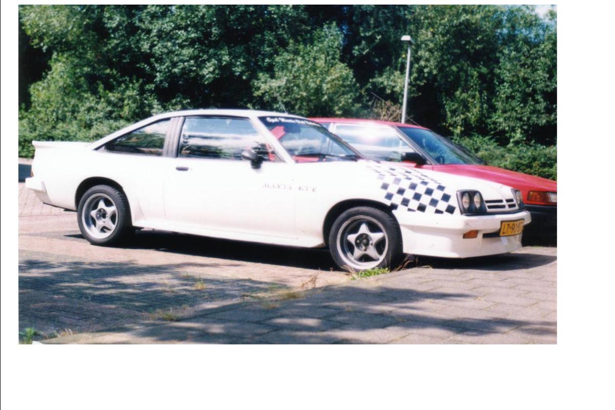 Manta B