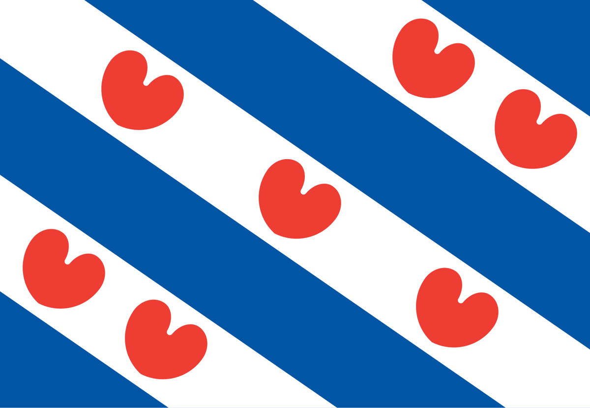 Friese Vlag